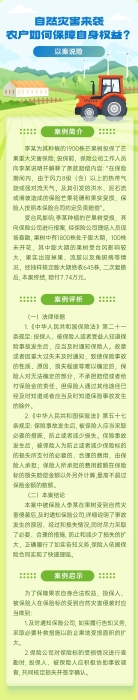 自然災(zāi)害來襲，農(nóng)戶如何保障自身權(quán)益？